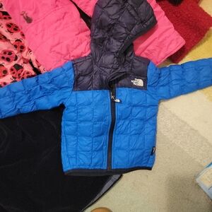 The North Face Kids Blue & Navy Hooded Puffer Jacket